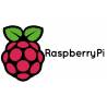 Raspberry